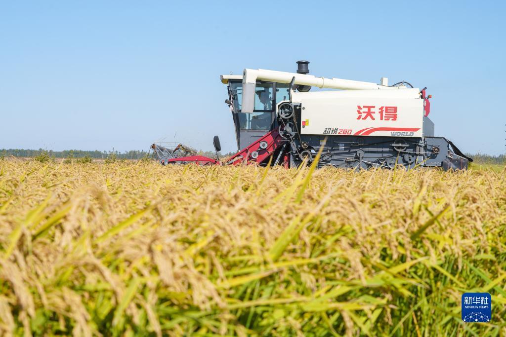 k178捕鱼游戏官方